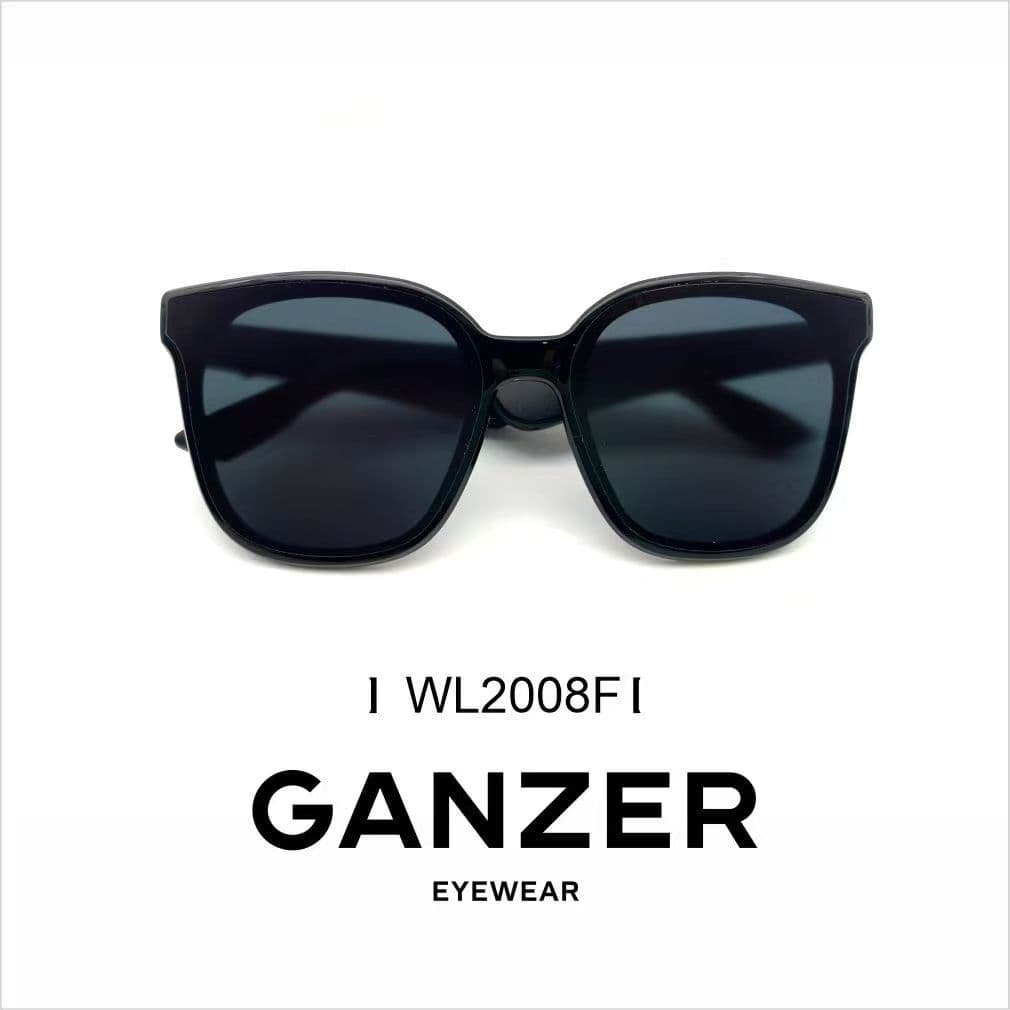 GANZER WL2008F 经典黑色墨镜
